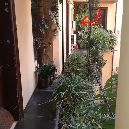 דירה Charme De Vatican *